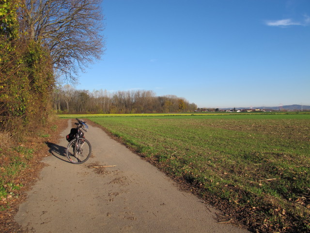 zwischen Langenschönbichl und Pischelsdorf