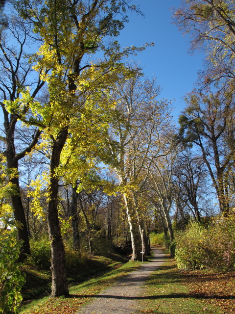 Schlosspark Esterházy