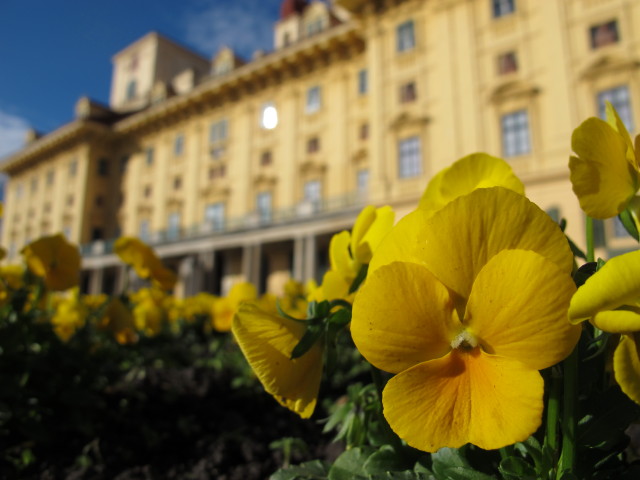 Schloss Esterházy