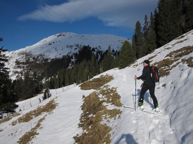 Axel zwischen Salzachjochh&uuml;tte und Salzachalm