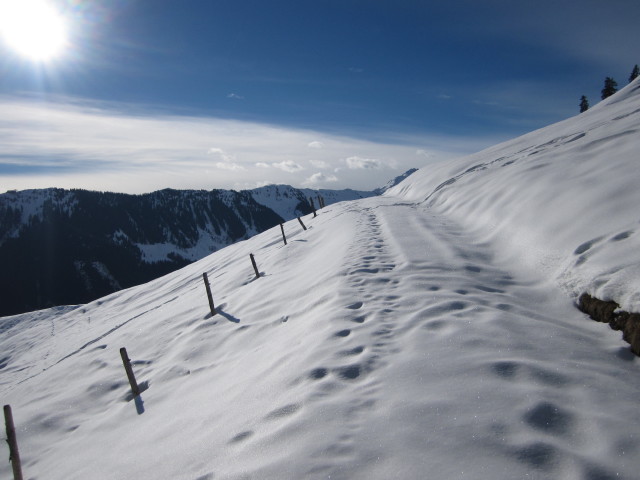 Skiroute 'Pengelstein Süd' (17. Jän.)