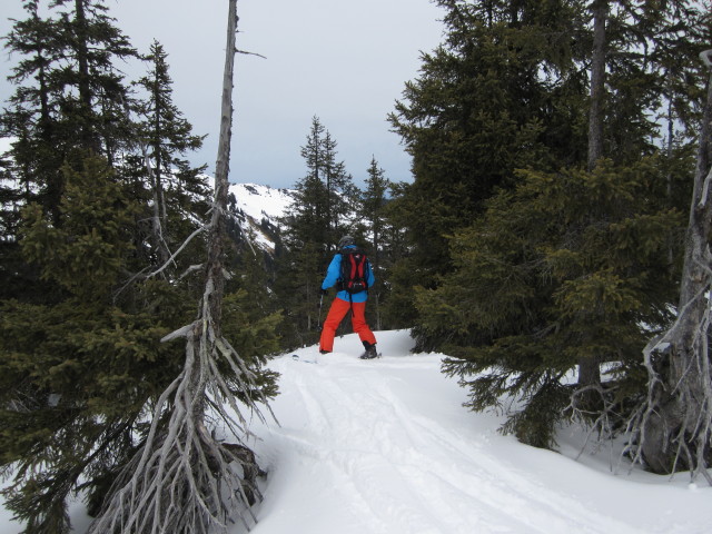 Wolfgang zwischen Trattenbachabfahrt und Aubach (17. J&auml;n.)