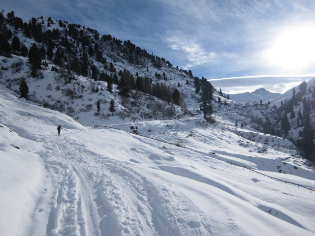 Axel zwischen Stallenalm und Nurpensbach