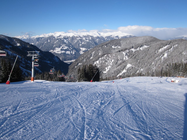 B&auml;rnbissabfahrt