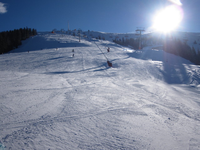 B&auml;rnbissabfahrt