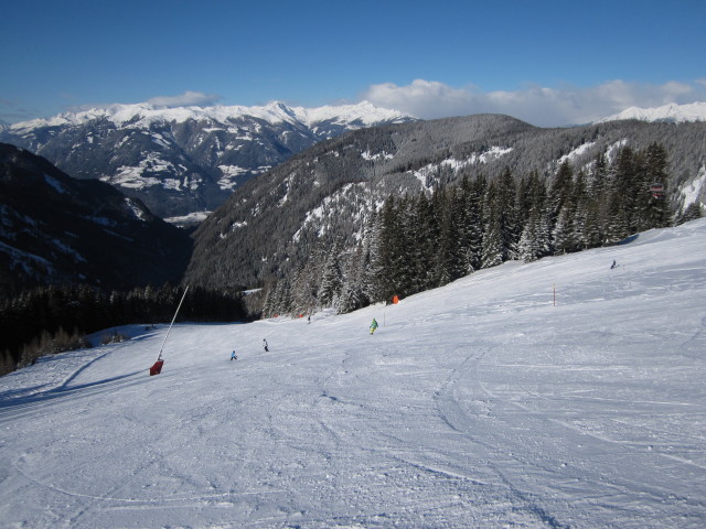 B&auml;rnbissabfahrt