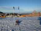 bei der Bergstation der Kabinenbahn Gsoll, 1.567 m