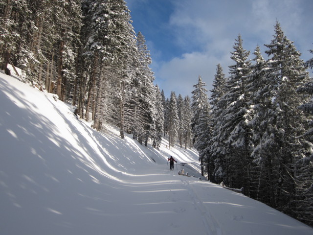 Axel zwischen Steinhof und Padauner Mähder