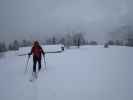 Axel am Stippleralm-Hochleger, 2.003 m