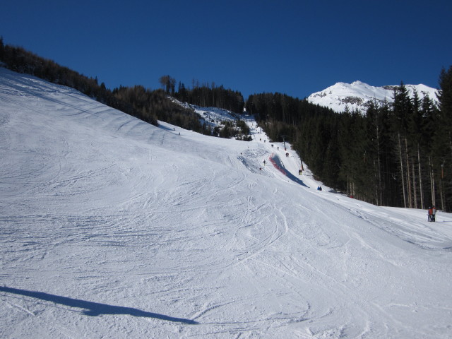 Piste Waldalm - Kreuzboden