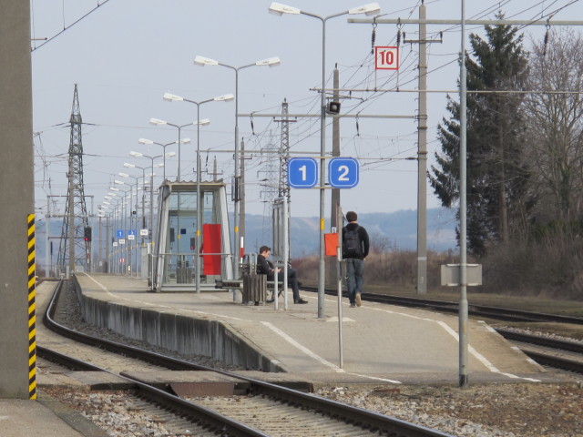 Bahnhof Limberg-Maissau, 281 m