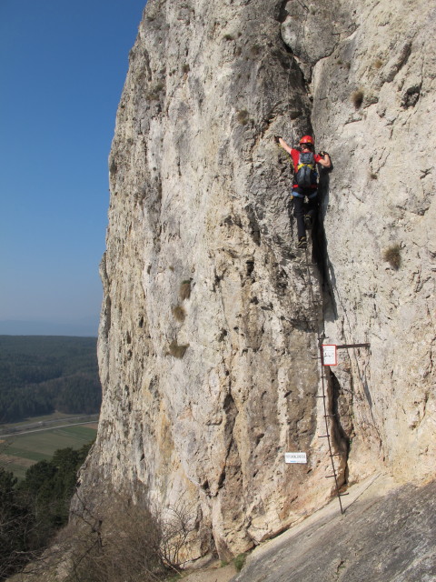 Pittentaler Klettersteig: Carmen am Steigbaum