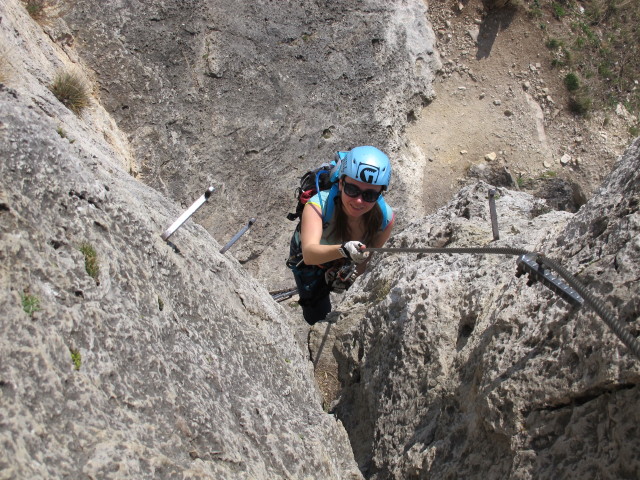 Pittentaler Klettersteig: Diana am Steigbaum