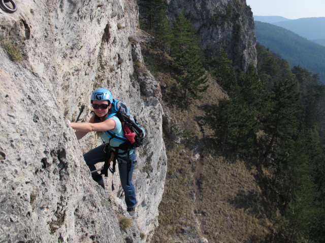 Pittentaler Klettersteig: Diana zwischen Steigbaum und erster Querung