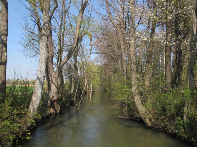 Fischa zwischen Mitterndorf und Neu-Reisenberg