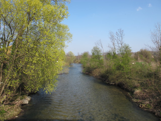 Leitha bei Wampersdorf und Wimpassing