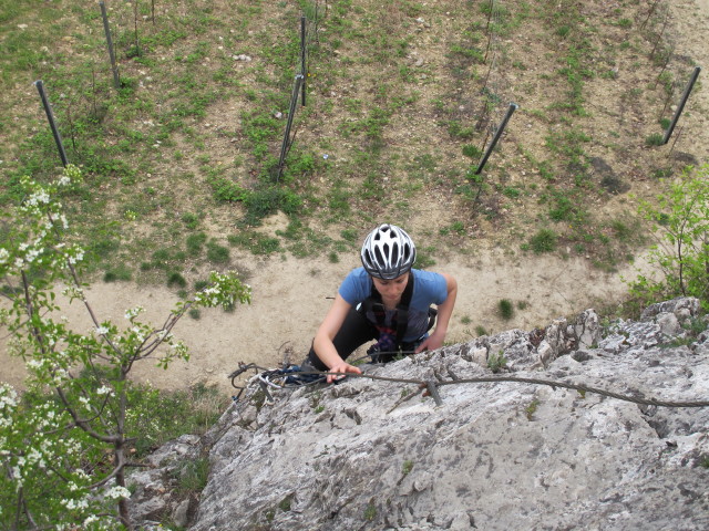 Gumpoldskirchner Klettersteig: Kathrin zwischen Querung und Umstieg