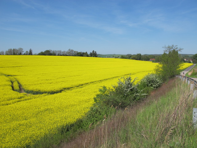 zwischen Wolkersdorf und Ulrichskirchen