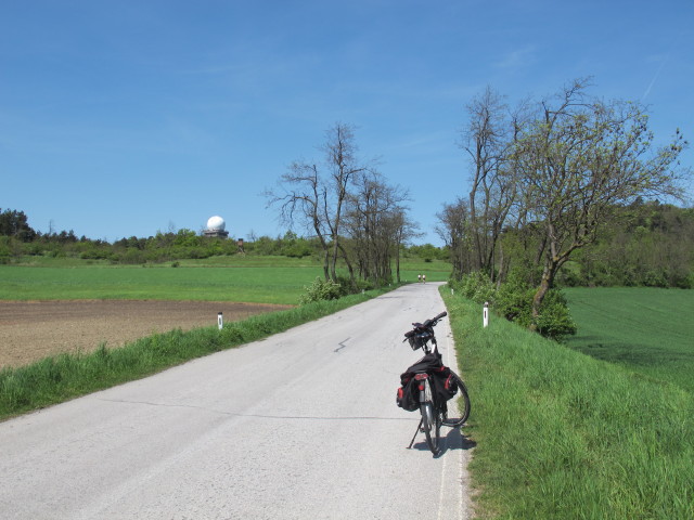 zwischen Hubertushain und Buschberg