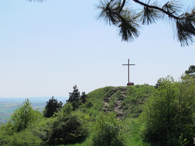 Vorgipfel des Buschbergs, 485 m