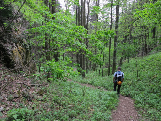 zwischen Hohe-Wand-Straße und Leiterlsteig