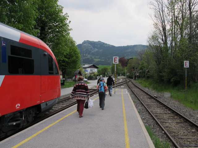 Diana im Bahnhof Grünbach am Schneeberg, 557 m