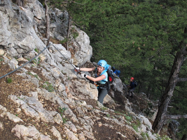 Gebirgsvereins-Klettersteig: Diana zwischen Braunerwandl und Weningerwand