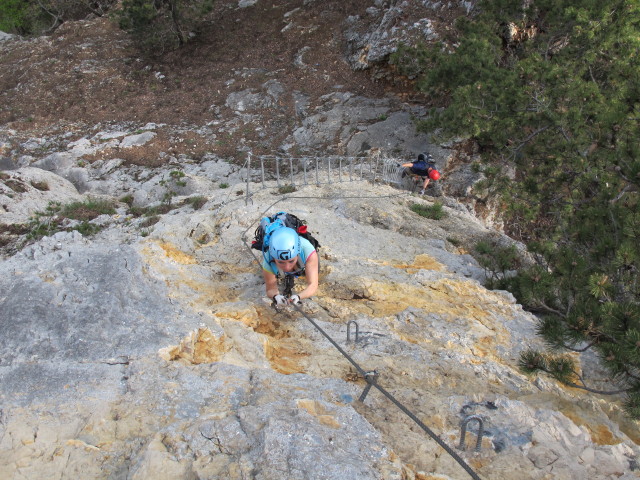 Gebirgsvereins-Klettersteig: Diana in der Pannoniawand