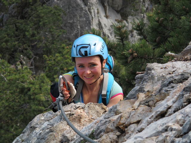 Gebirgsvereins-Klettersteig: Diana in der Pannoniawand