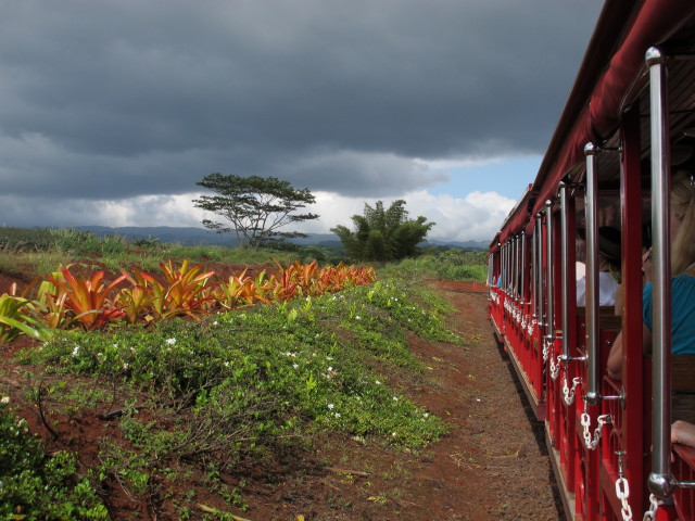 Dole Plantation (21. Mai)