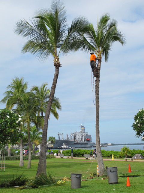 World War II Valor in the Pacific National Monument (22. Mai)