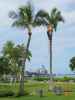 World War II Valor in the Pacific National Monument (22. Mai)