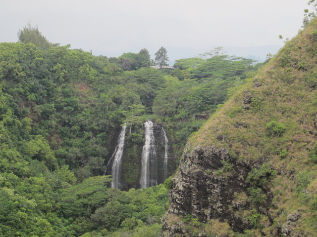 Opaekaa Falls (10. Mai)