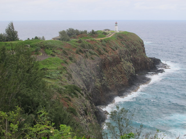 Kilauea Point (11. Mai)