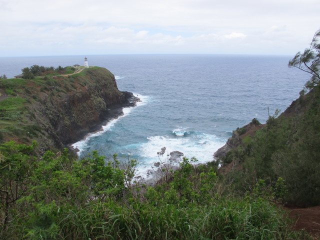 Kilauea Point (11. Mai)