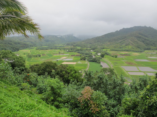 Hanalei Valley von Hanalei Valley Lookout aus (11. Mai)