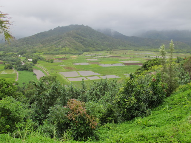 Hanalei Valley von Hanalei Valley Lookout aus (11. Mai)