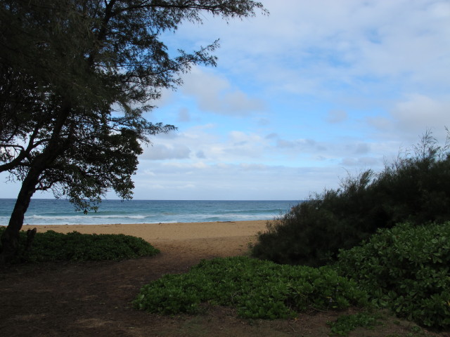 Kealia Beach Park (11. Mai)