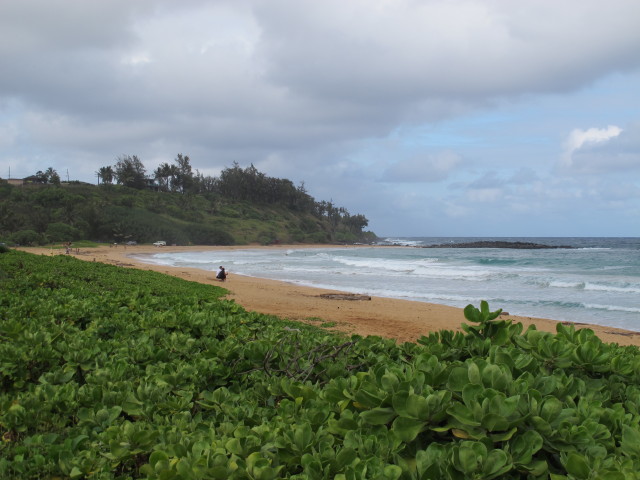 Kealia Beach Park (11. Mai)