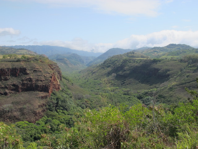 Hanapepe Valley (12. Mai)