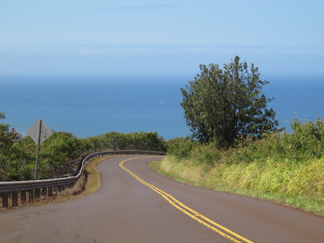 Waimea Canyon Drive (12. Mai)