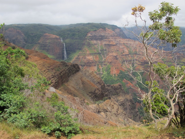 Waimea Canyon (12. Mai)