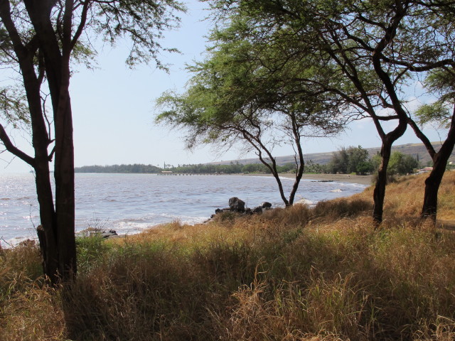 Laauokala Point (12. Mai)