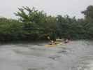 Wailua River (10. Mai)