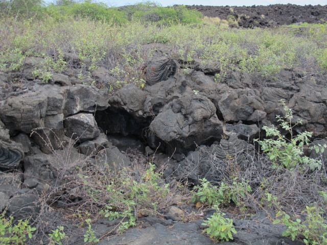 Kaloko-Honokohau National Historical Park (13. Mai)