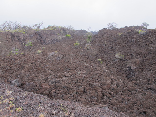 neben der Mouna Loa Road (14. Mai)