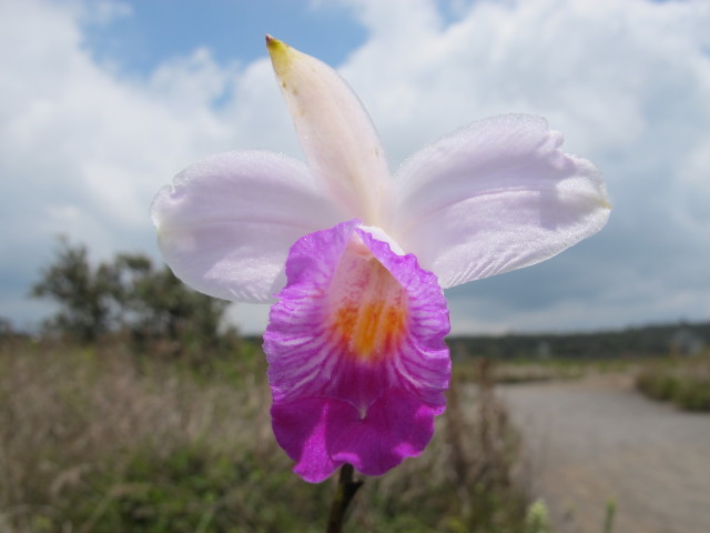bei den Steam Vents (14. Mai)