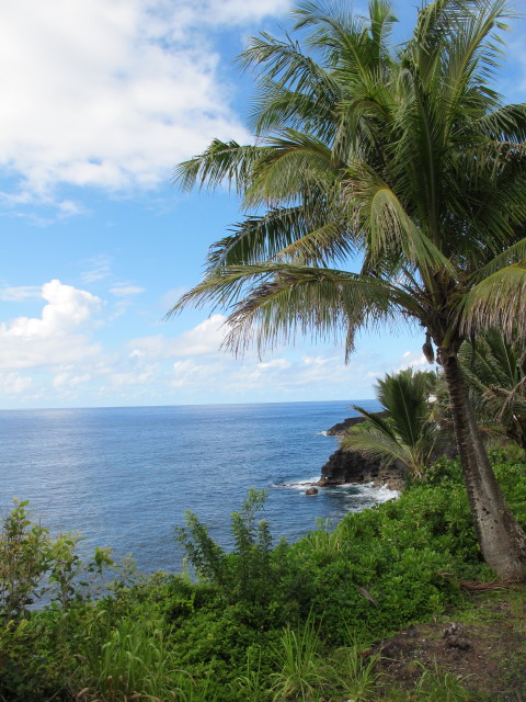Kalapana Coast (15. Mai)