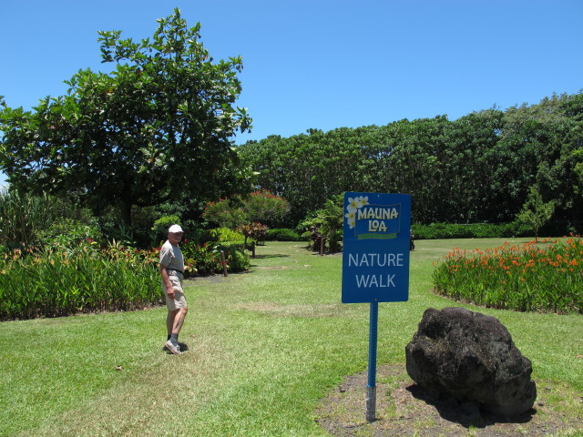 Papa am Nature Walk der Mauna Loa Macadamia Nut Factory (15. Mai)