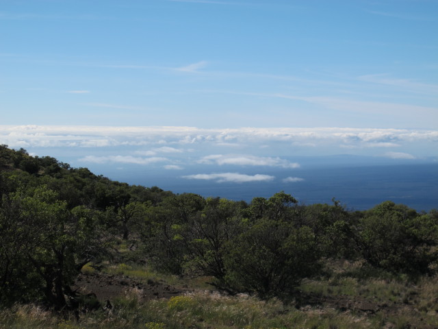 beim der Mauna Kea Visitor Information Station (16. Mai)